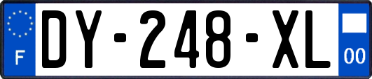 DY-248-XL