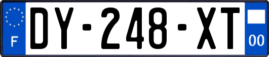 DY-248-XT