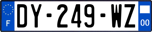 DY-249-WZ