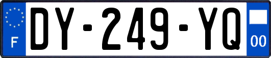DY-249-YQ