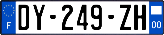 DY-249-ZH