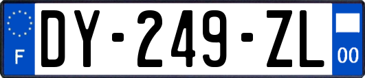 DY-249-ZL