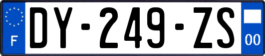 DY-249-ZS