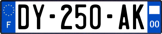 DY-250-AK