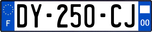 DY-250-CJ