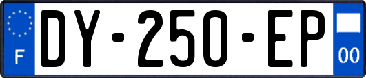 DY-250-EP