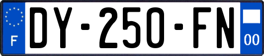 DY-250-FN
