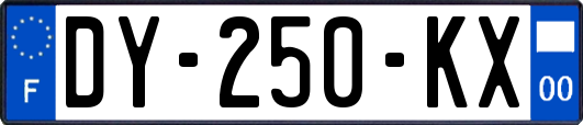 DY-250-KX