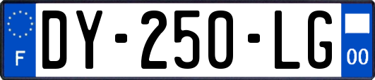 DY-250-LG