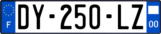 DY-250-LZ