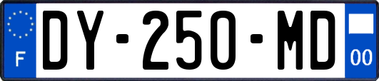 DY-250-MD