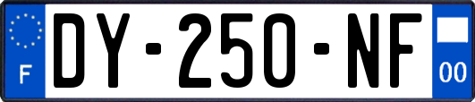 DY-250-NF