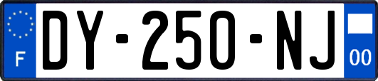 DY-250-NJ