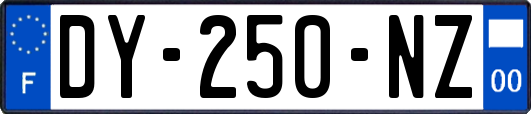 DY-250-NZ