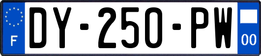 DY-250-PW