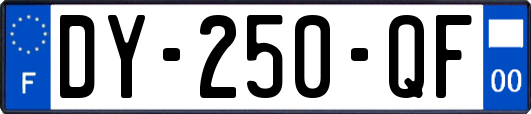 DY-250-QF