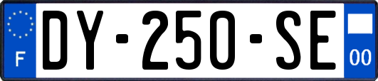 DY-250-SE