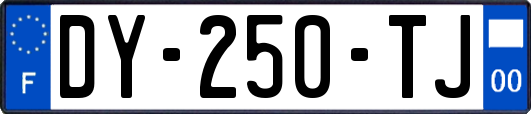 DY-250-TJ