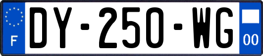 DY-250-WG