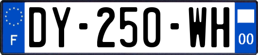 DY-250-WH