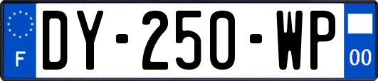 DY-250-WP