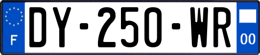 DY-250-WR