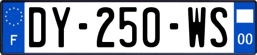 DY-250-WS