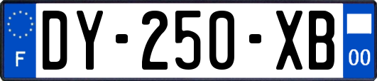 DY-250-XB