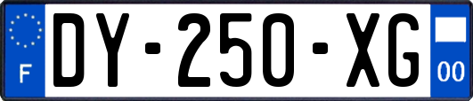 DY-250-XG