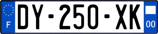 DY-250-XK