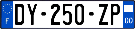 DY-250-ZP