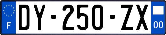 DY-250-ZX