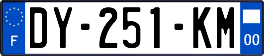 DY-251-KM