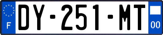 DY-251-MT