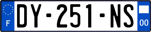 DY-251-NS