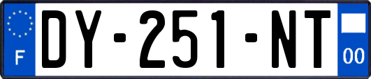 DY-251-NT