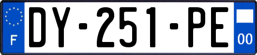 DY-251-PE