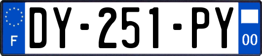 DY-251-PY