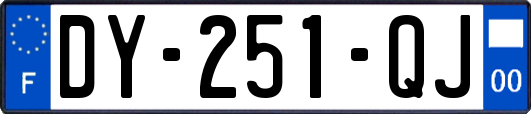 DY-251-QJ