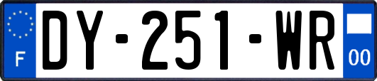 DY-251-WR