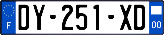 DY-251-XD