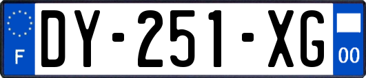 DY-251-XG