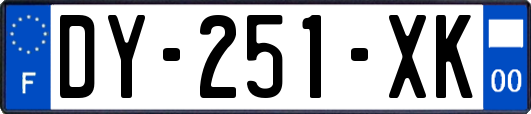 DY-251-XK