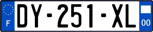 DY-251-XL