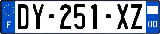 DY-251-XZ