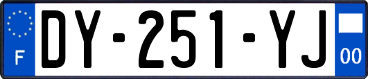 DY-251-YJ