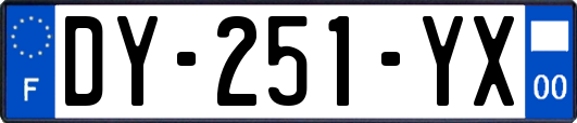 DY-251-YX