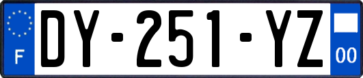 DY-251-YZ