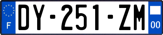 DY-251-ZM