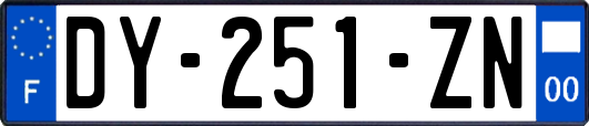 DY-251-ZN